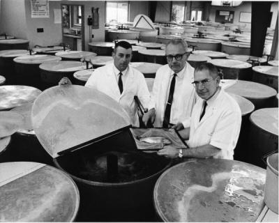 Studying fish, 1969. Pictured from left to right: Donald J. Lee, Joseph Wales, and Russel O. Sinnhuber from the Food Science Department.