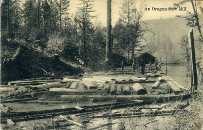 An Oregon saw mill, 1908.