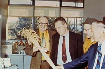 <p>Men examining the Hyslop wheat variety. From left to right: R. W. Henderson, Warren Kronstad (former Genetics Program director), Tom Jackson and Norman Borlaug. The men were examining a new wheat variety named after</p><p>				Professor George R. Hyslop.</p>
