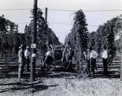 Image from the "Hop Pest Report, 1942." Caption reads: "Experimental Hop Duster, 1941, Hop field day."