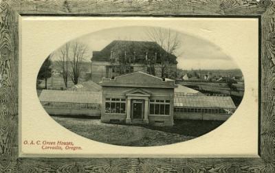 Postcard of the OAC greenhouses annotated "to the left of Ag Bld," ca early 1900s.
