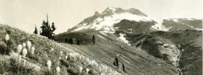 Mt. Hood from Paradise Park, ca. 1925.