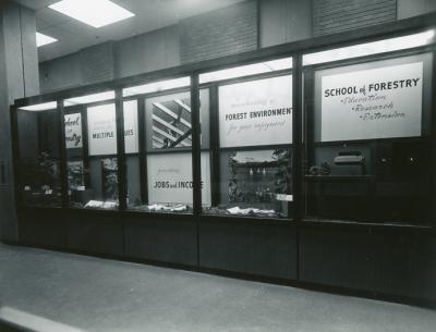 School of Forestry display mounted in the Administration Building, 1972.