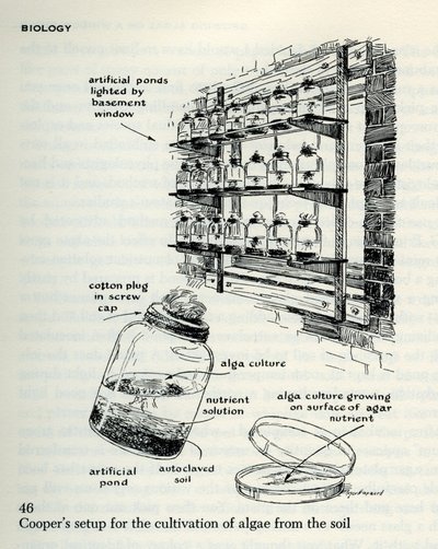 q162.s7-algaecultivation-01-900w.jpg