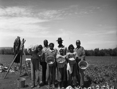 African American group in bean field