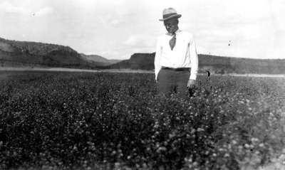 Black and white photograph of Frank Llewellyn Ballard inspecting an alfalfa field.