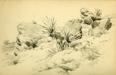 hayward4.003.15-desertsketch-02-900w.jpg