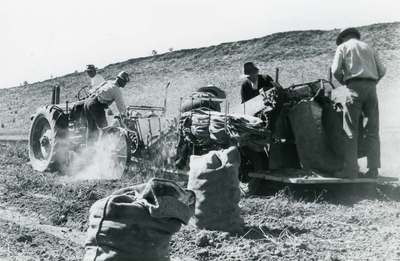 Farm Labor, 1945