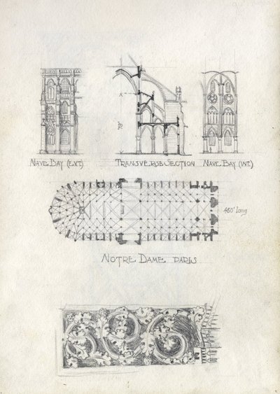 hayward4.001.8-notredamesketches-08-900w.jpg