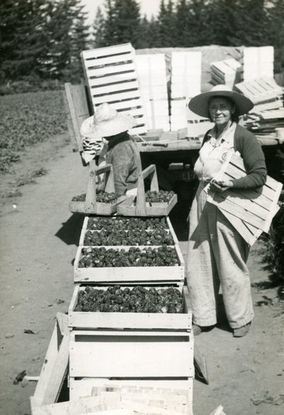 http://scarc.library.oregonstate.edu/temp/p054-women-harvest.jpg