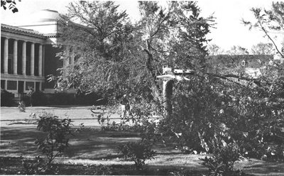 Columbus Day Windstorm Damage, 1962