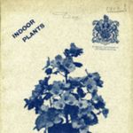 1913.004-cover.jpg