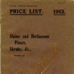 1913.008-cover.jpg