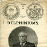 1913.009-cover.jpg