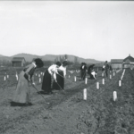 women-gardening.jpg