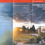 dsp brochure.pdf