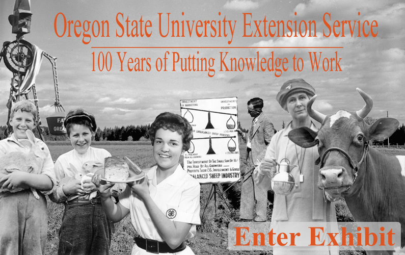 Title Image. One Hundred Years of Extension